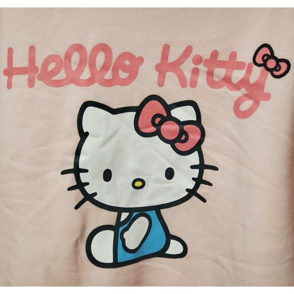 Hello Kitty By Sanrio Colorblock Graphic Sweatshirt Cradle Pink SIZE XXL - NWT - Picture 2 of 5